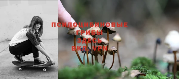 apvp Алексин