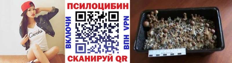 Псилоцибиновые грибы GOLDEN TEACHER  купить  цена  Курганинск 