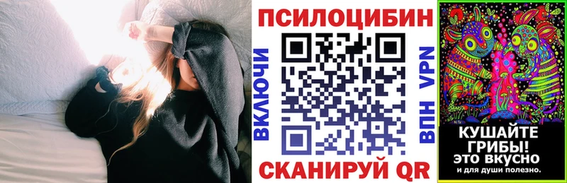 Галлюциногенные грибы Psilocybine cubensis Курганинск